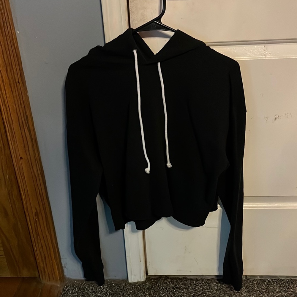 Wild fable cropped hoodie
